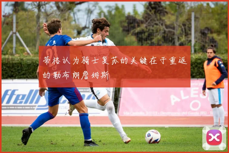 蒂格认为骑士复苏的关键在于重返的勒布朗詹姆斯
