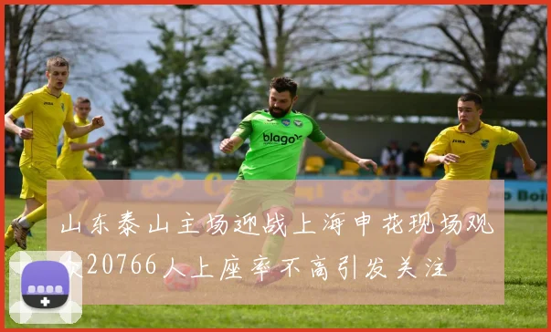 山东泰山主场迎战上海申花现场观众20766人上座率不高引发关注