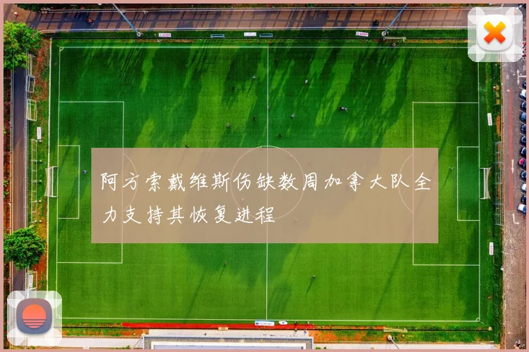 阿方索戴维斯伤缺数周加拿大队全力支持其恢复进程
