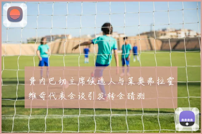 费内巴切主席候选人与莱奥弗拉霍维奇代表会谈引发转会猜测